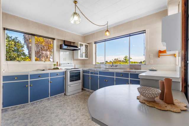 18 Argyle Avenue Levin_2