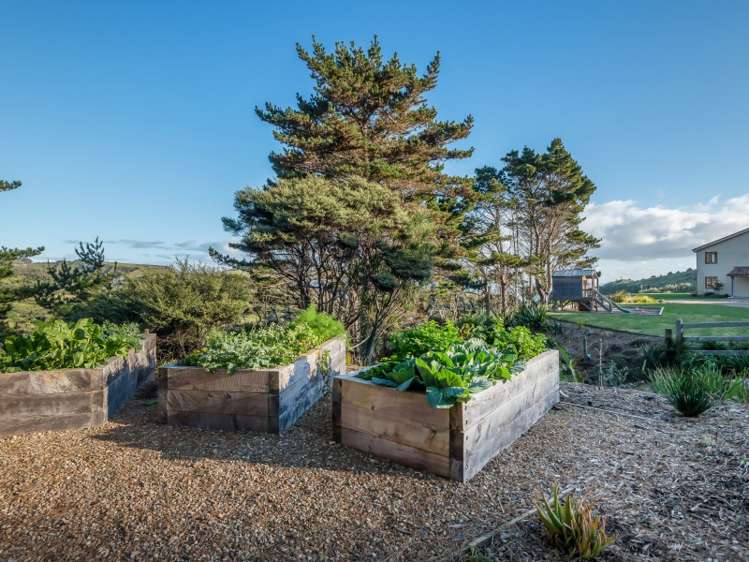 505 Oaia Road Muriwai_21