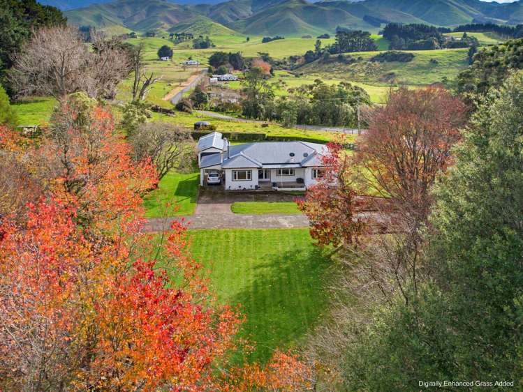 517 Umutaoroa Road Dannevirke_24