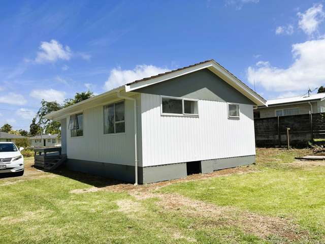 12 Birdwood Road Pukekohe_1