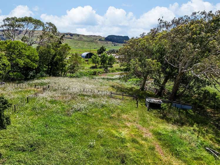 603 Te Akau South Road Te Akau_6