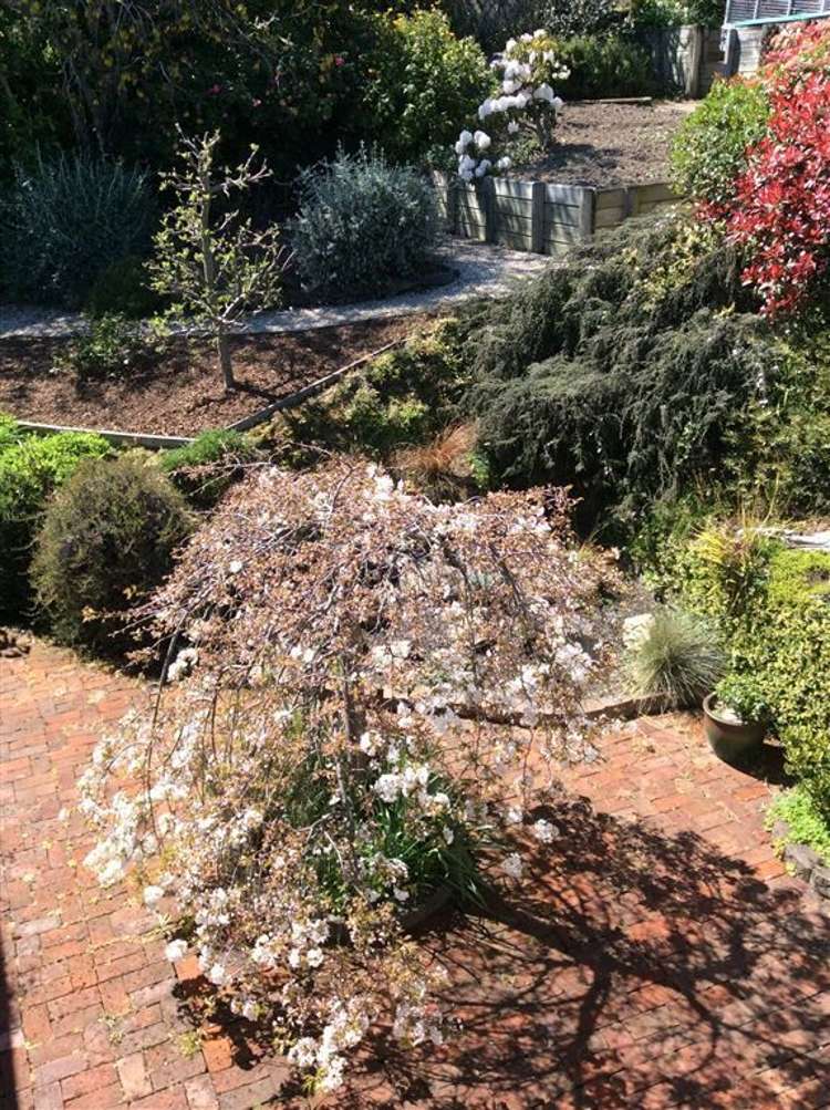 21 Malvern Avenue Atawhai_15