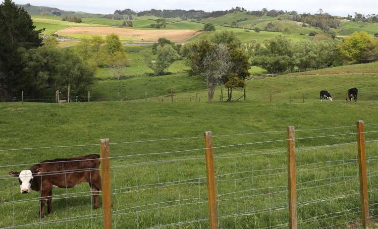 1025 Hetherington Road Ruawaro_45