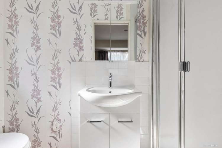 87 Burundi Avenue Clendon Park_6