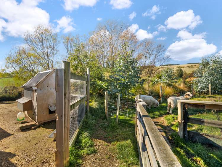 23 Mallard Drive Waihola_13