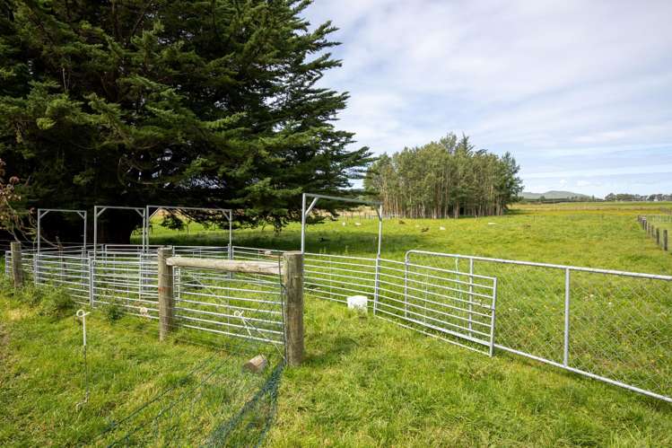 657 Domett Road Domett_5