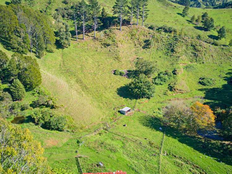 822 Motukawa Rd Inglewood_15