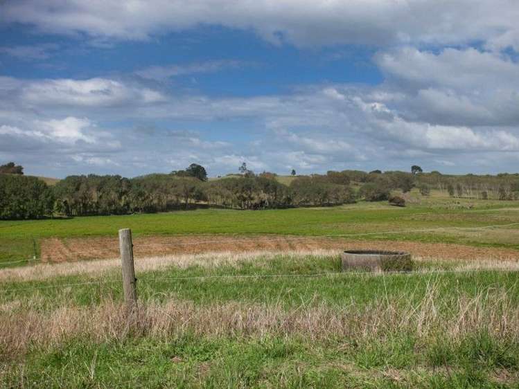 137 Sanson Road Ruawaro_41