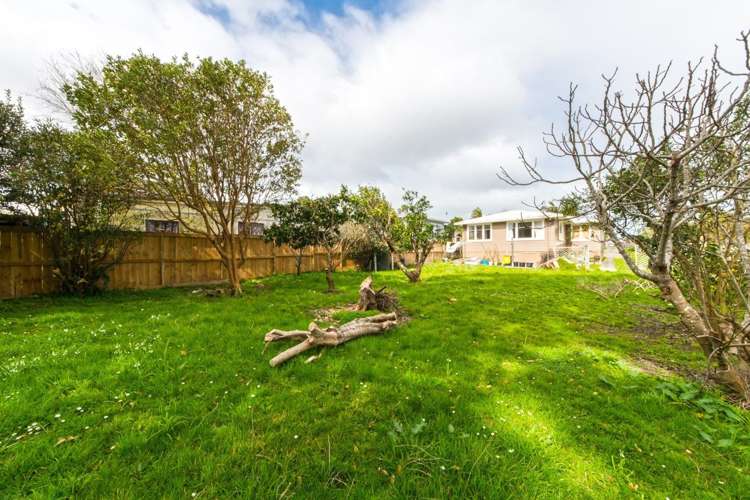 18 Islington Avenue New Lynn_19