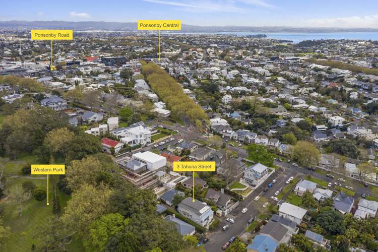 3 Tahuna Street Freemans Bay_16