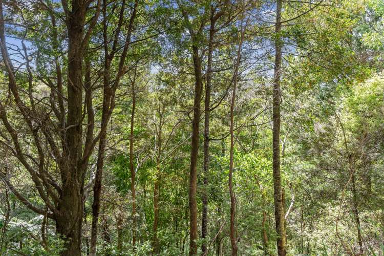 15 Waiparera Road Parua Bay_10