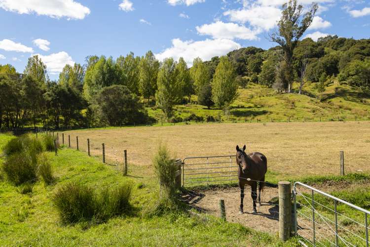 214 Ormond Valley Road Ormond_13