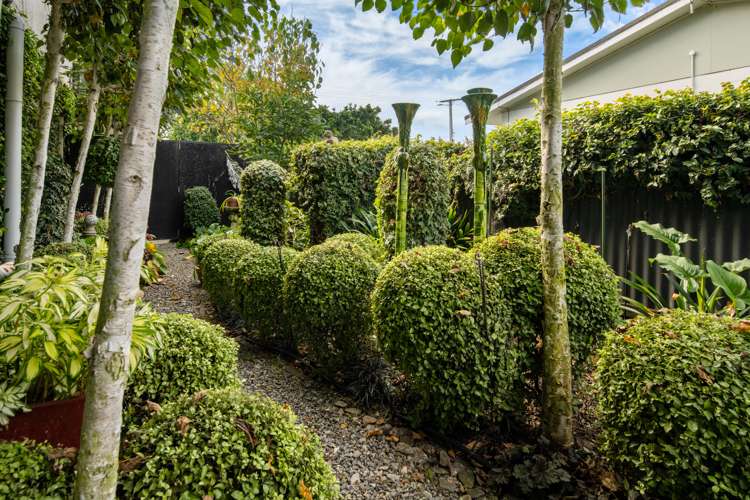 11 White Street Blenheim Central_25