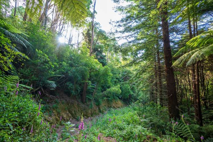 849 Owhiwa Road Parua Bay_28