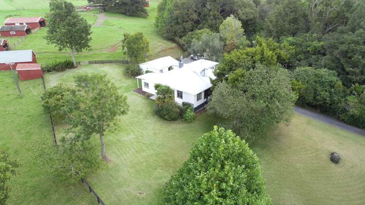 481 Moore Road Pipiwai_21