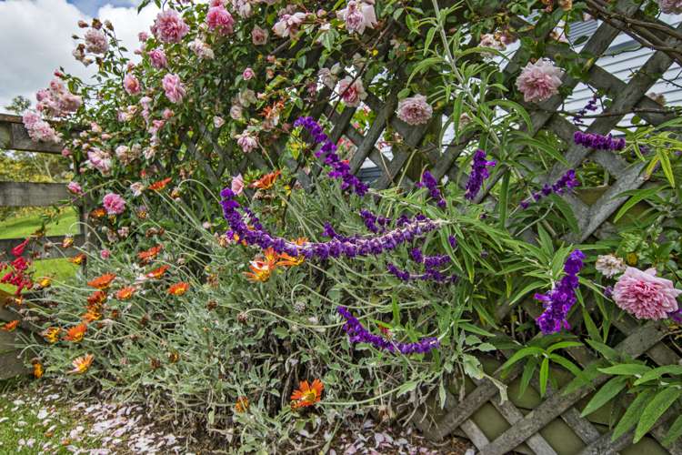 37 Pahi Road Paparoa_33