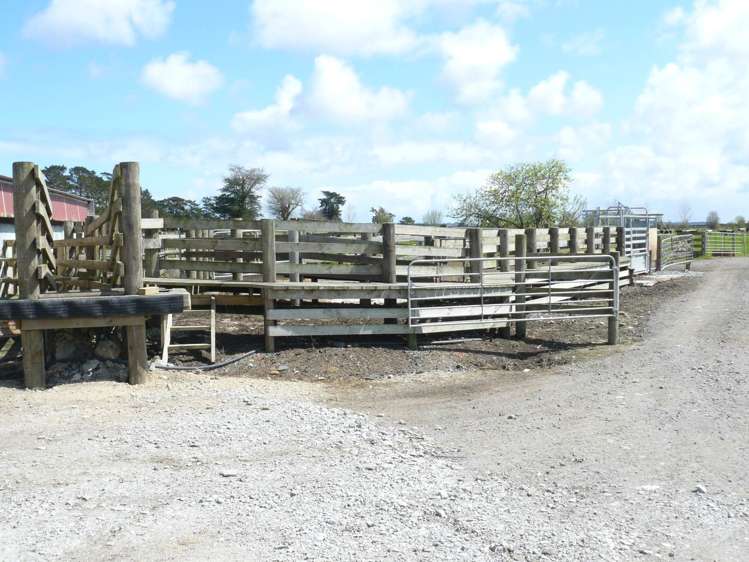 403c Kumi Road Awanui_13