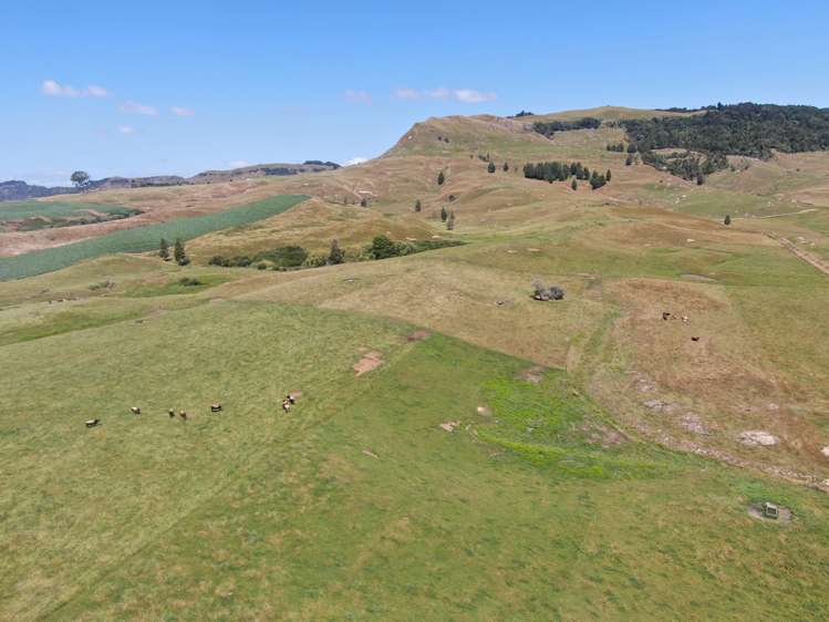 Kahuwera Road Piopio_14