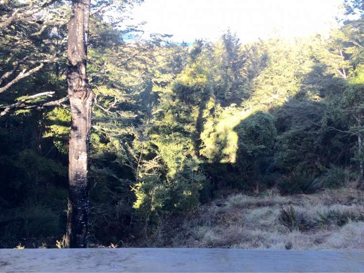 85 Tinline Terrace Lyford_13