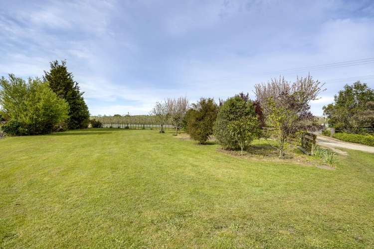 137 Swamp Road Fernhill_32