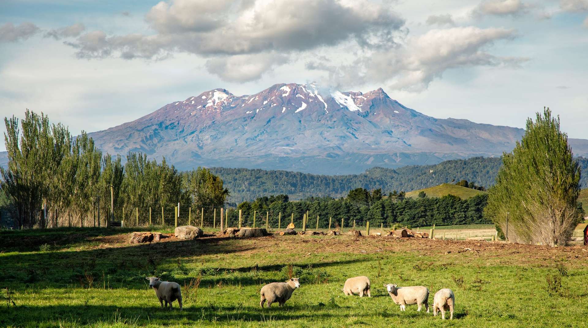 Lot 2 Raetihi Ohakune Road Ohakune_0