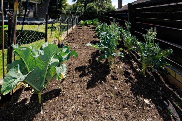 145 Tirimoana Road Te Atatu South_18