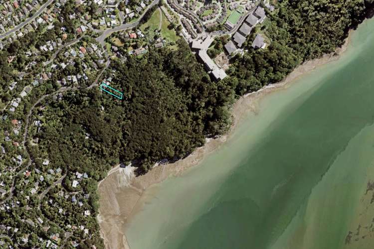 65 Takahe Road Titirangi_16