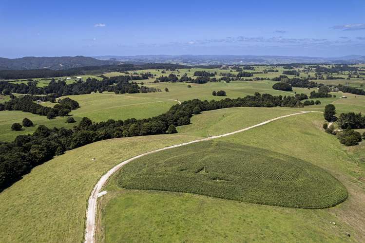 731 Puhipuhi Road Whakapara_37