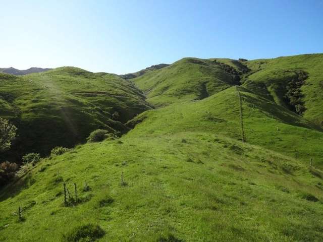 378 Putara Road Eketahuna_3