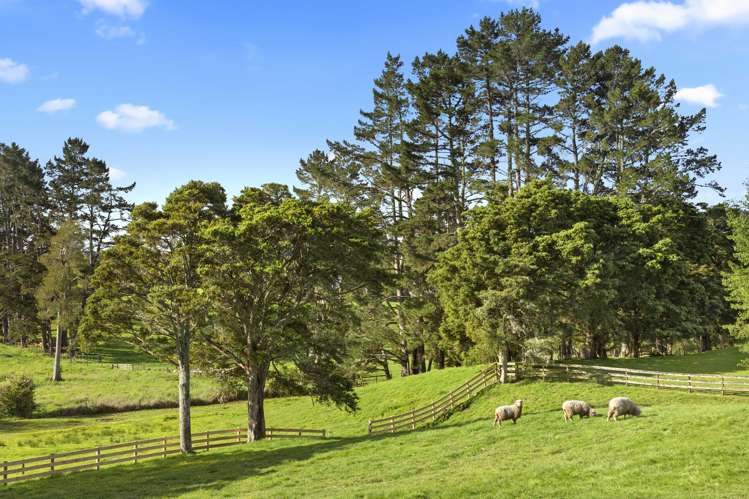 275a Paparimu Road Hunua_28