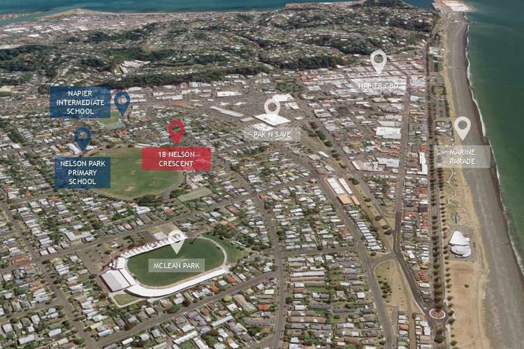 18 Nelson Crescent Napier South_12