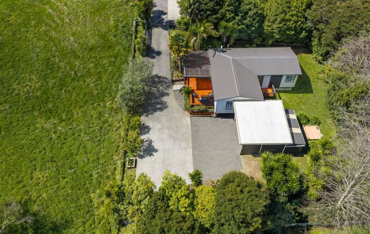 12C Primrose Street Raglan_36