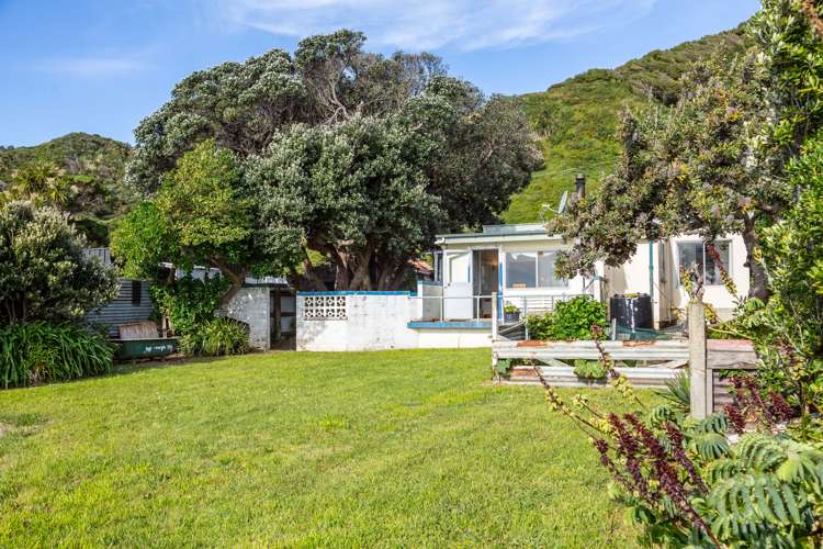 1598 Cape Palliser Road Cape Palliser_21