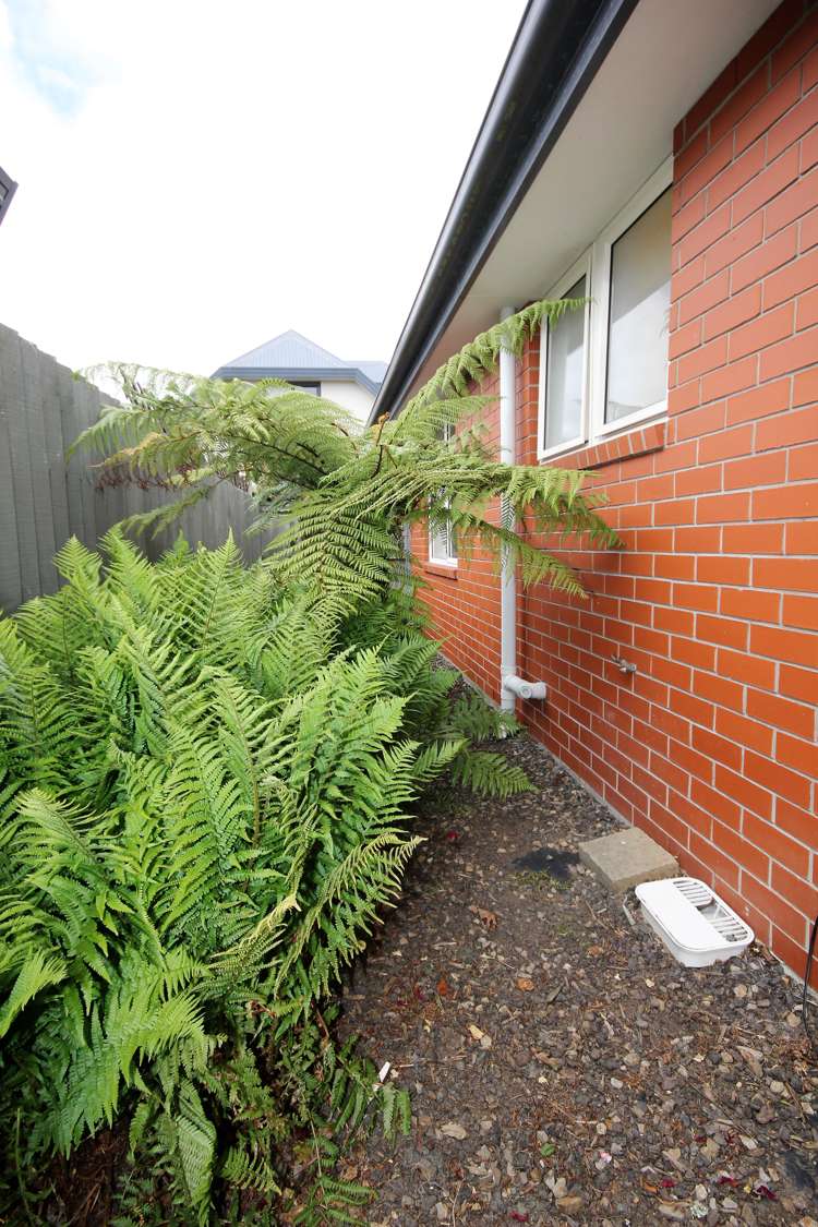 35 Cardigan Bay Place Addington_5