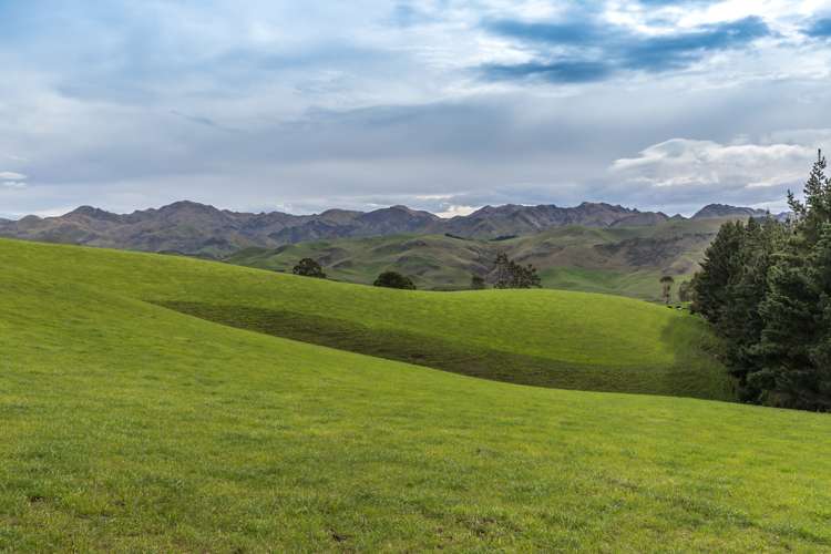 387 Eggleston Road Cheviot_7