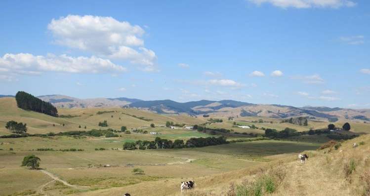 314 Martin Road Waerenga_1