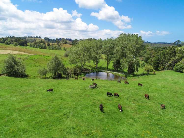 827 Wainui Road Wainui_5