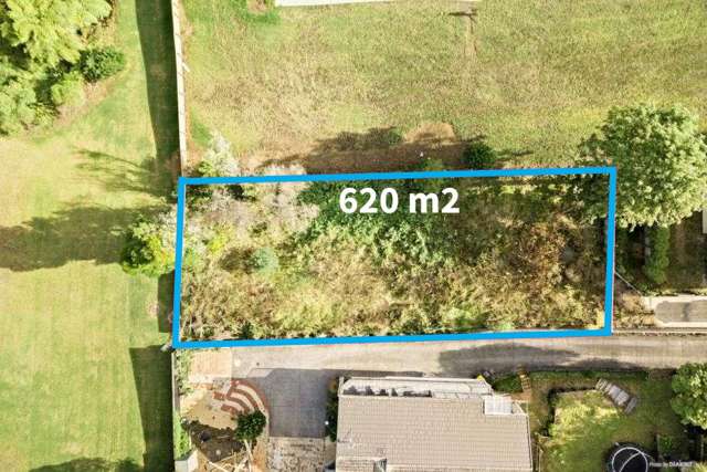 Prime Pukekohe Land Opportunity