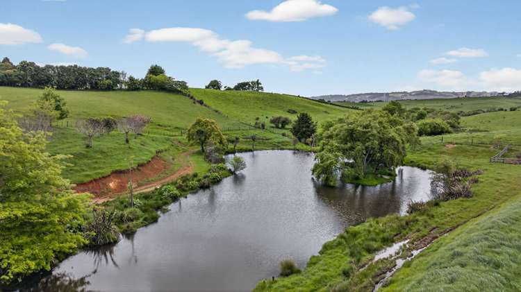 333 Tuhimata Road Ramarama_79