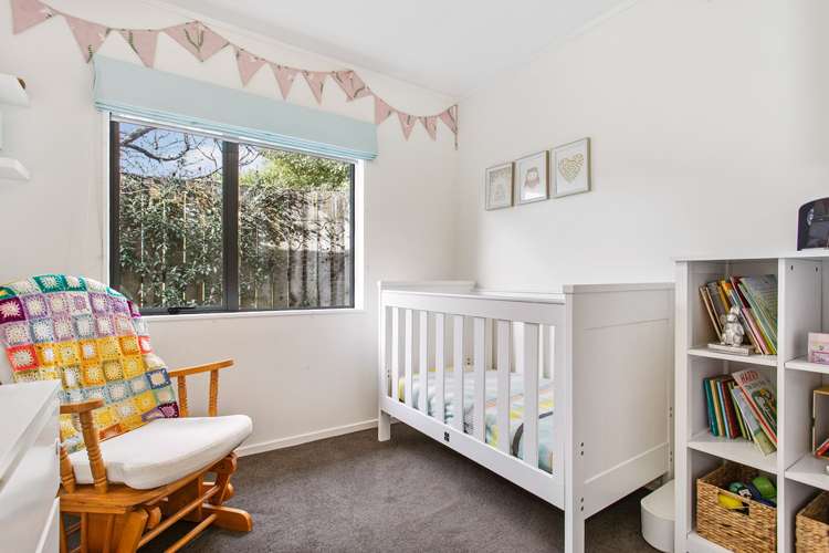 199h Captain Springs Road Onehunga_11