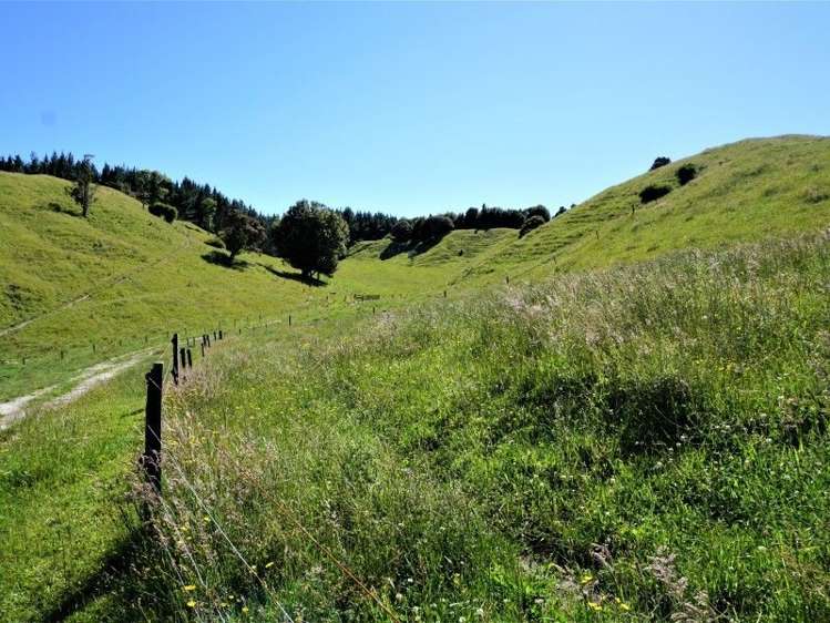 1788 Manawahe Road Manawahe_7