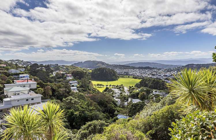 43 Farnham Street Mornington_19