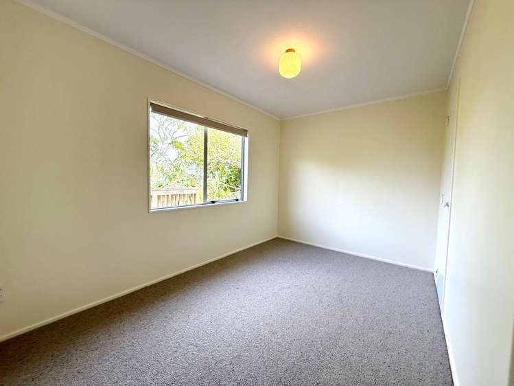 7B Rose Street Raglan_12