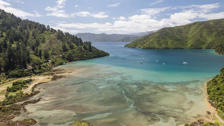 593 Port Underwood Road Whatamango Bay_8