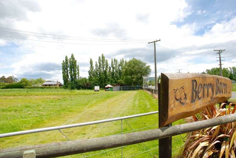 134 Timaru Road Waimate_18