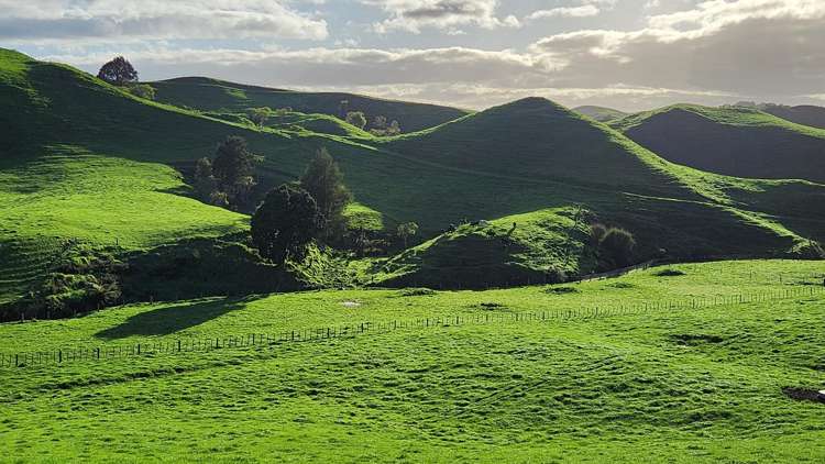 794 Tariki Road Ratapiko_22