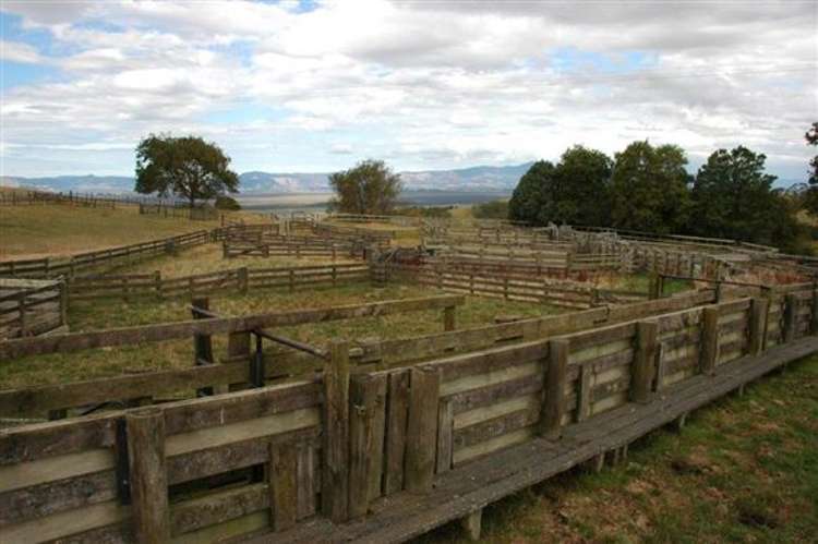 Waiti Road Tahuna_45