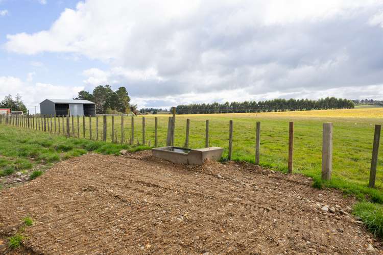 63b Sligo Terrace Roslyn_17