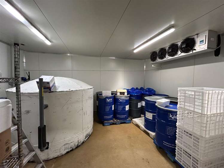 30 Greenpark Road Penrose_1