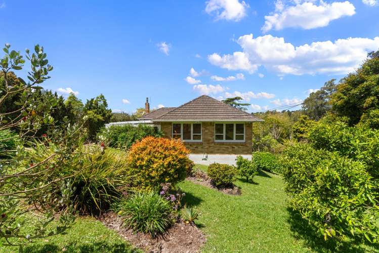 319 Don Buck Road Massey_2